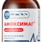 amoksimag 100 ml