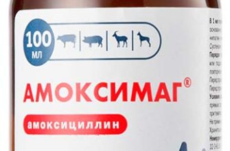 amoksimag 100 ml