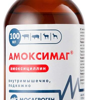 amoksimag 100 ml