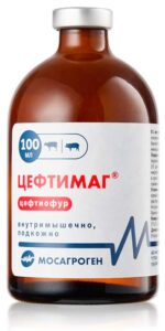 ceftimag 100 ml