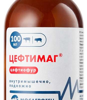 ceftimag 100 ml