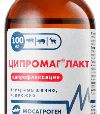 Ципромаг лакт