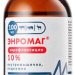 Энромаг 10% 100 мл