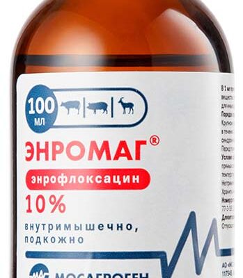 Энромаг 10% 100 мл