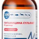 gentamicin 100 ml