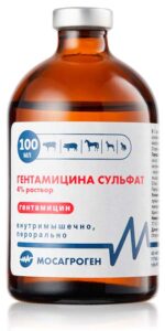 gentamicin 100 ml