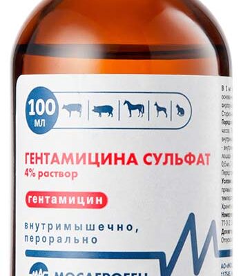 gentamicin 100 ml