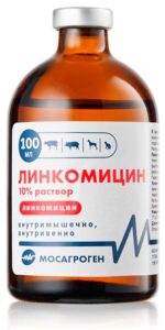 linkomicin 100 ml