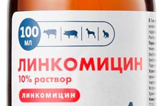 linkomicin 100 ml