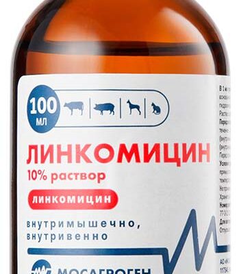 linkomicin 100 ml