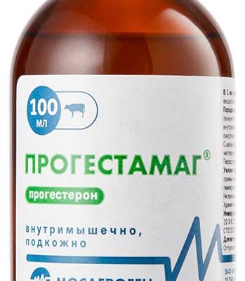 progestamag 100 ml