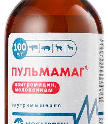 pulmamag 100 ml