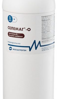 selemag_O 1 l