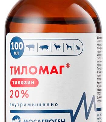 tilomag 100 ml