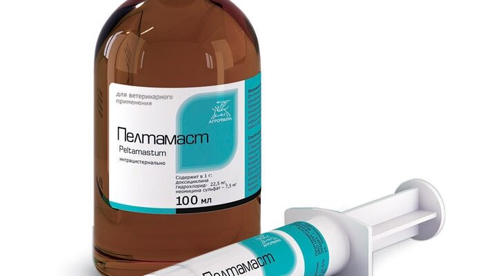 Пелтамаст
