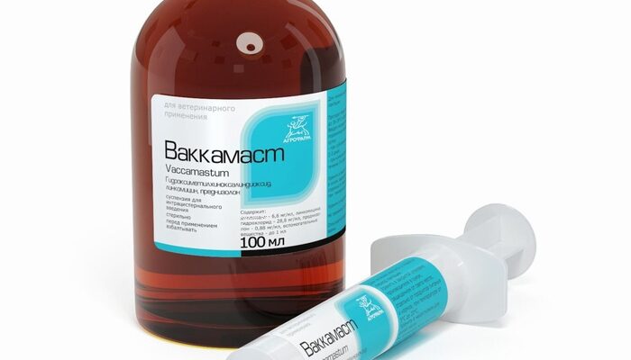 Ваккамаст