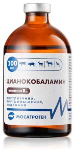 витамин B12