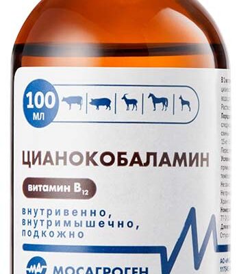 витамин B12