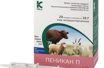 Пеникан П