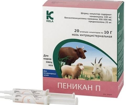 Пеникан П