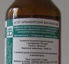 Сыворотка поливалентная