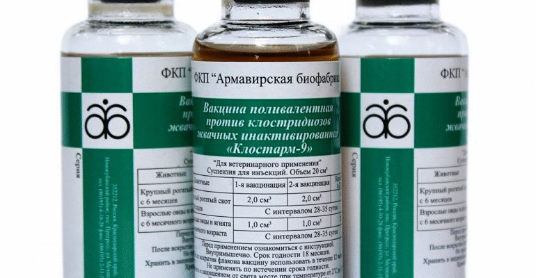 Вакцина против клостридиоза жвачных