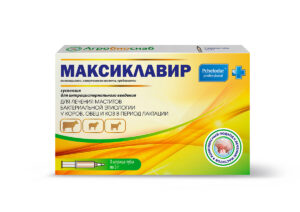 maksiklavir